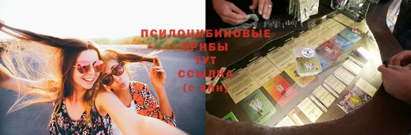 ешки Алзамай