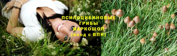ешки Алзамай
