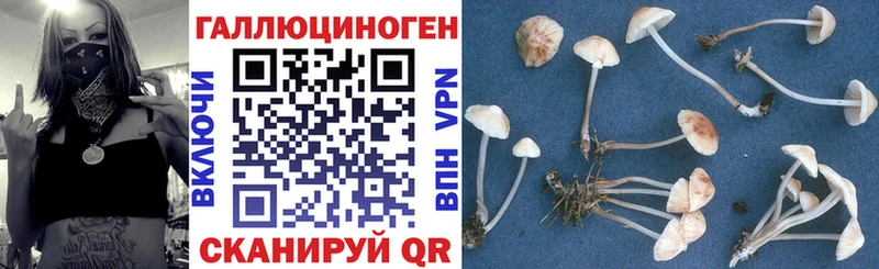 Галлюциногенные грибы прущие грибы  Закаменск 